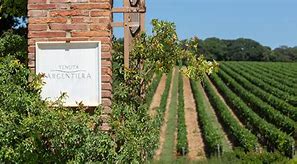 Tenuta Argentiera